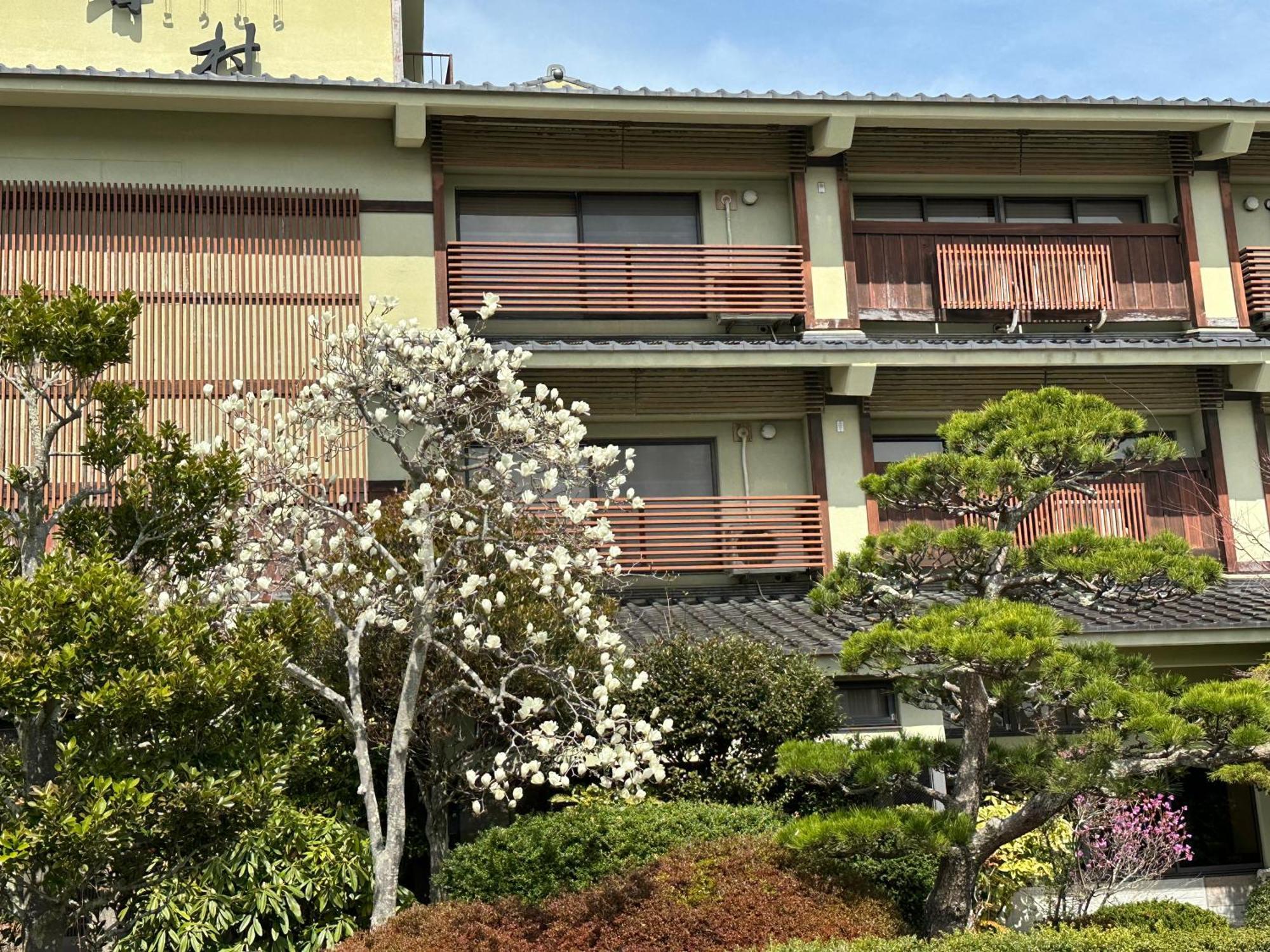 Matsushima Koumura מראה חיצוני תמונה